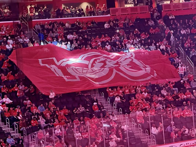 100 years of Red Wings