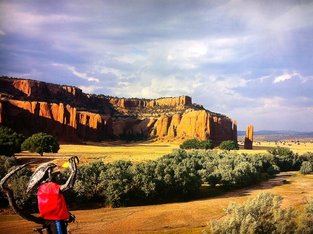 This is a really weird sign, ha