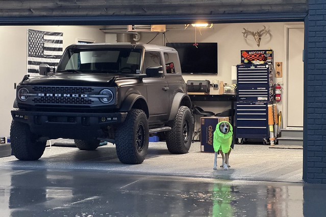 Despite his fancy raincoat, Durby decides not to outside and go potty