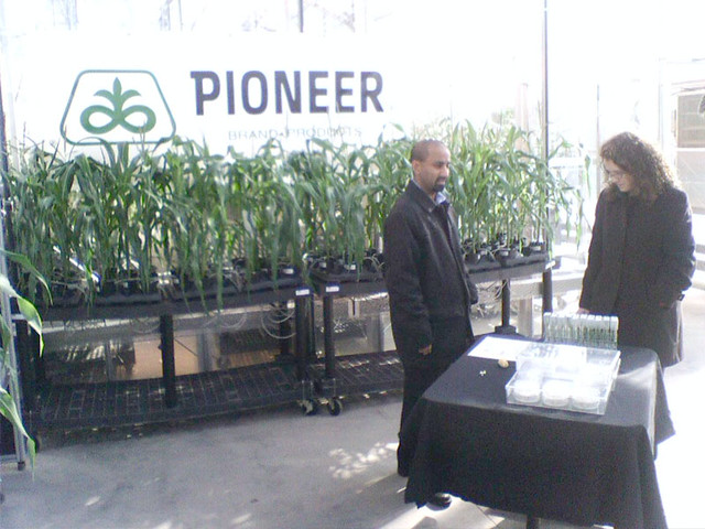 Hanging out in the greenhouses