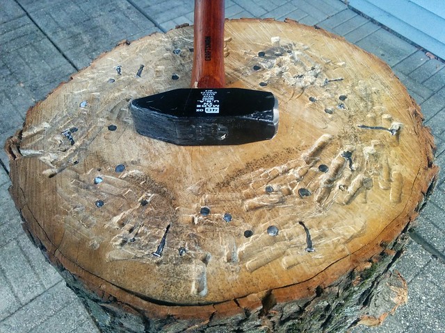 Aftermath of our first back yard hammerschlagen match