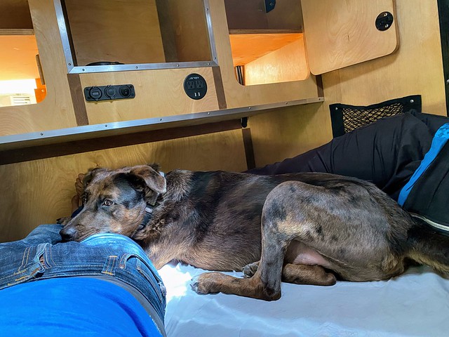 Testin out a nap in the new camper