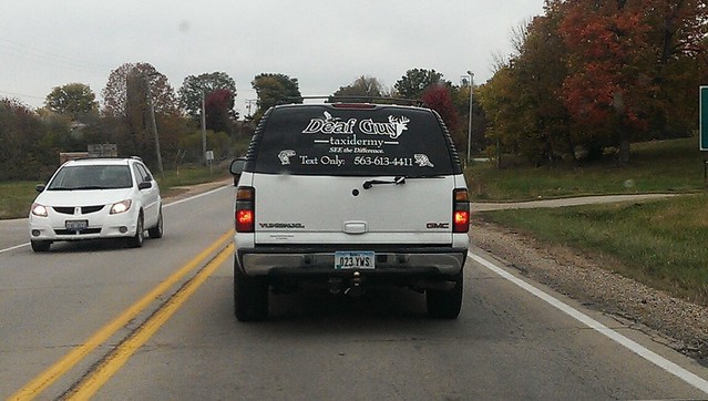 Deaf Guy Taxidermy. SEE the difference. Text only.