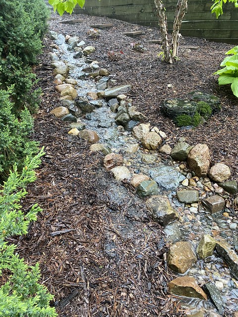 Dry stream doin it’s thing