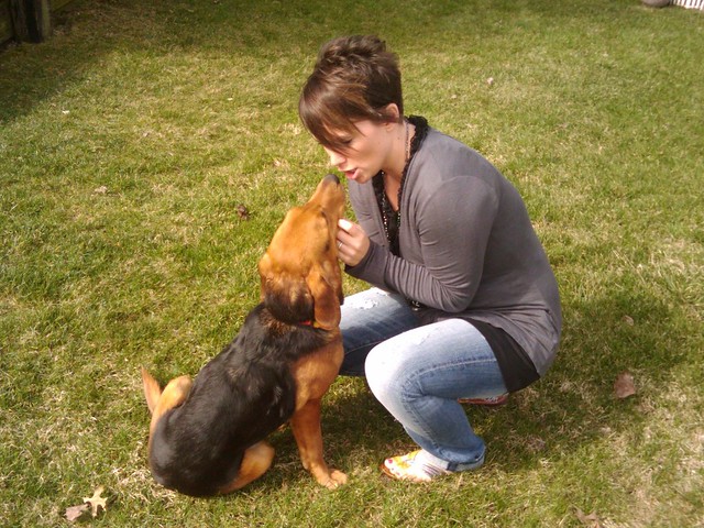 If my spoiled wife gets her way, we'll be adopting this little guy sometime soon.