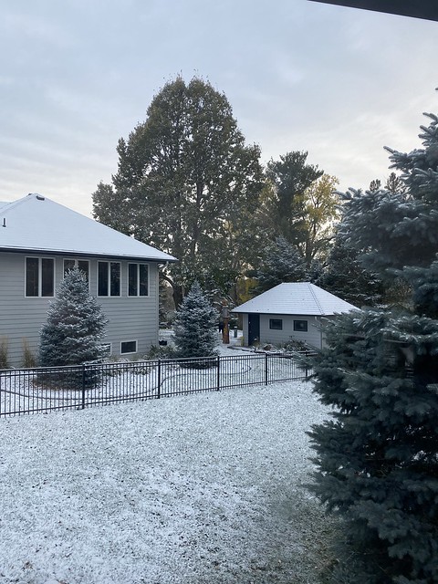 My neighbor’s about to take that big tree out. I’m a little bummed about it.