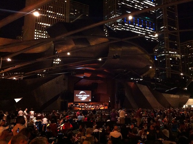 Frozen planet at millennium park