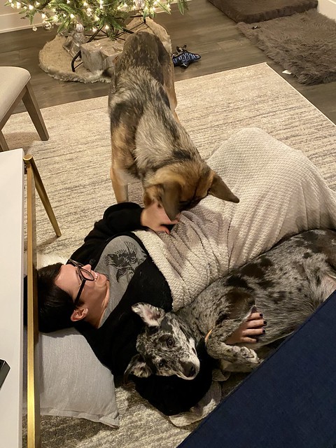 This girl and her dogs