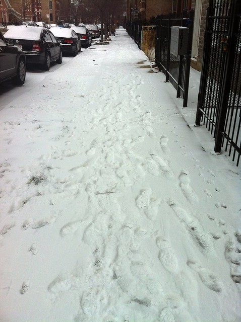 I think winter has finally begun in Chicago