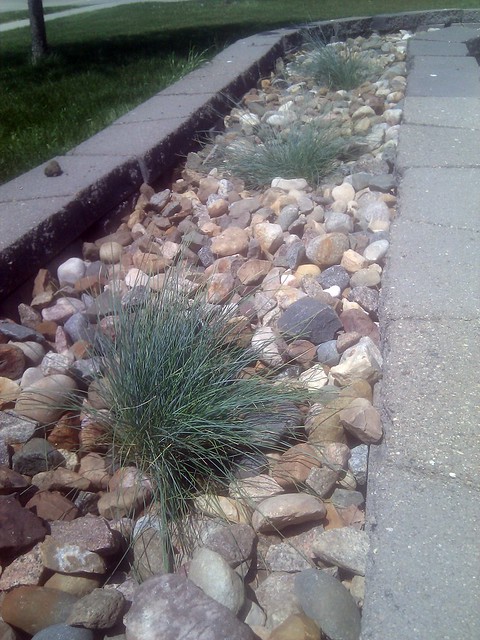 Lunchtime landscape... on a 90 degree day in May.