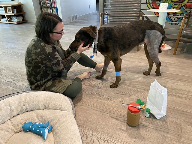 Tryin to get this sedated dude to take some post-surgery medicine