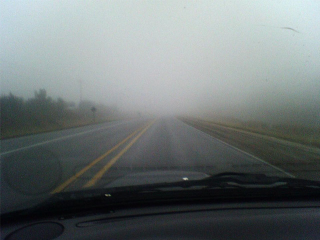 Mad Fog Today