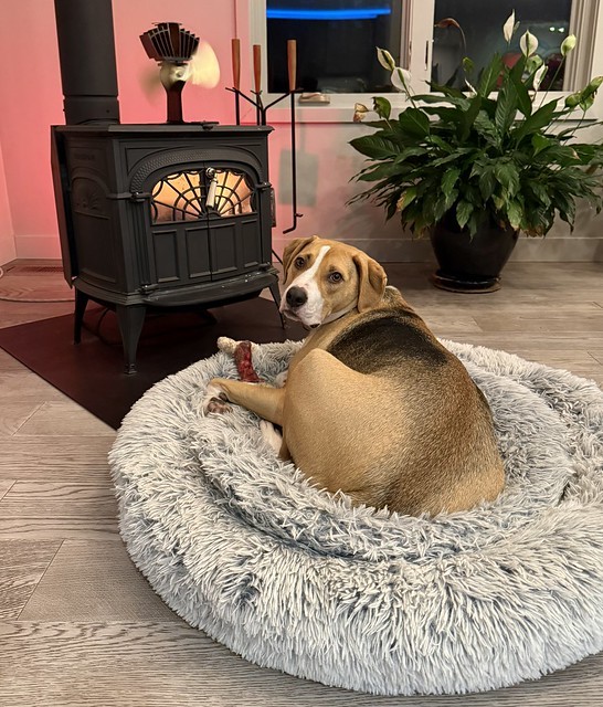 Keep in warm by the fire