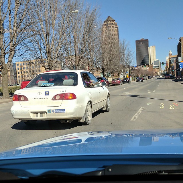 Just passed this car that had a horse in it.