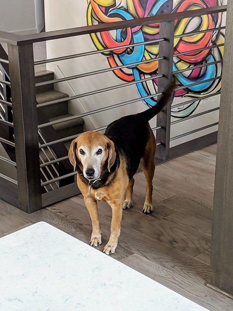 Mad boy wants some cheese