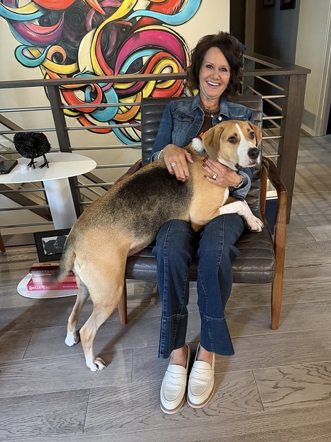 Durby would like attention