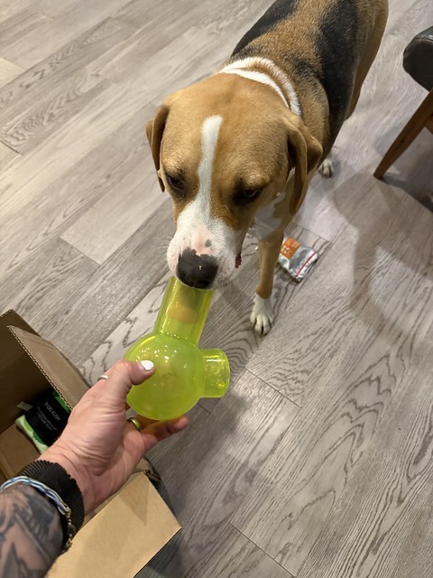 Stoner pup is enjoying his 4/20 bark box delivery