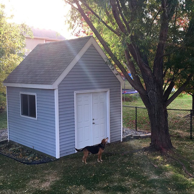 Morning squirrel huntin with Garth Brooks