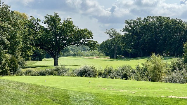 Oh cool, finally. A nice, wide open hole with an oak tree in the middle of the fairway