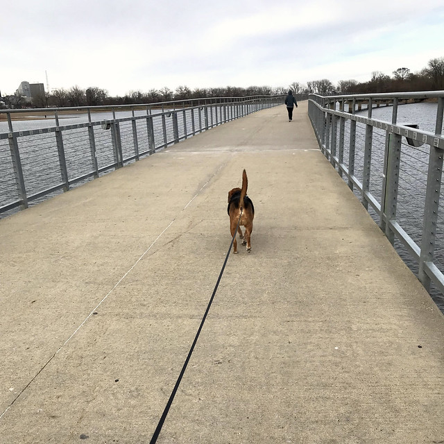 Birthday walk at Gray's lake