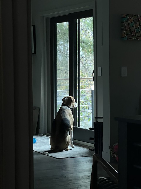 Emo boy is sad about the rainy day