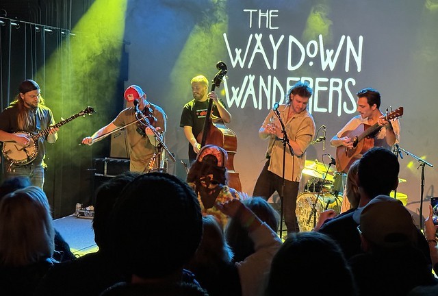 Banjo, fiddle, upright bass, spoons, acoustic guitar. Bluegrass.