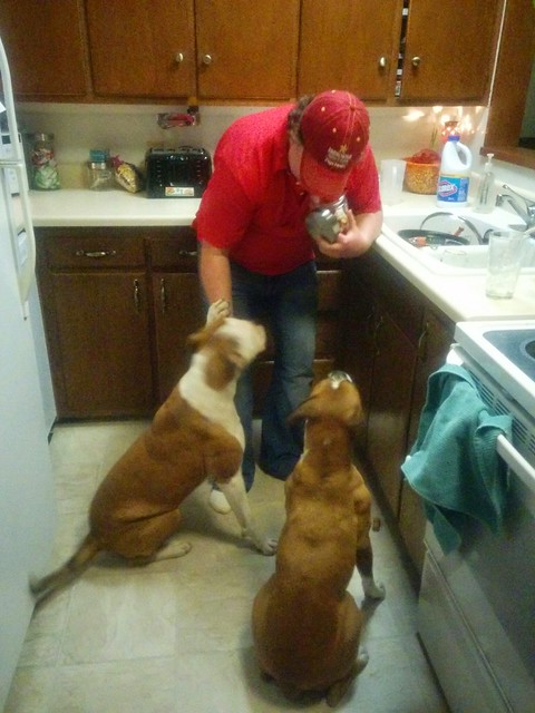 Who wants more treats?