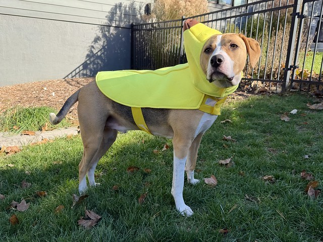 Kari is apparently cleaning out the costume bins…