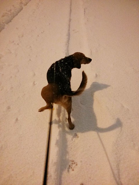 An evening stroll with Garth Brooks