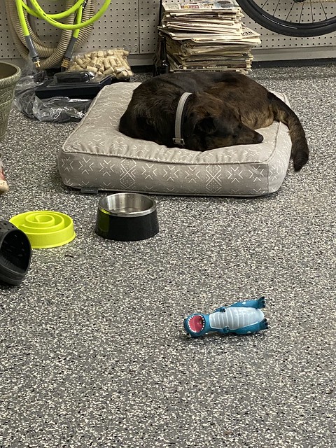 Workin in the garage while the house is cleaned, heh