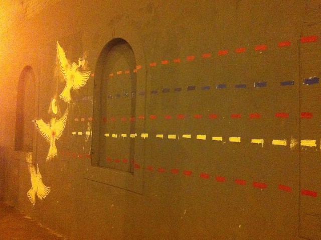 Shootin birds in Chicago