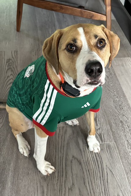Mexico jersey boy