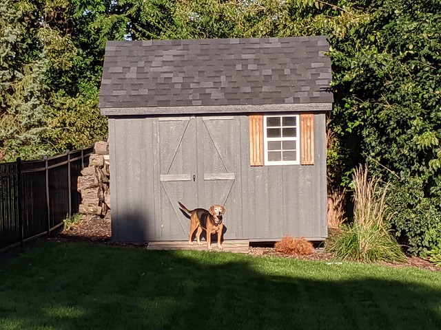 Guarding that shed