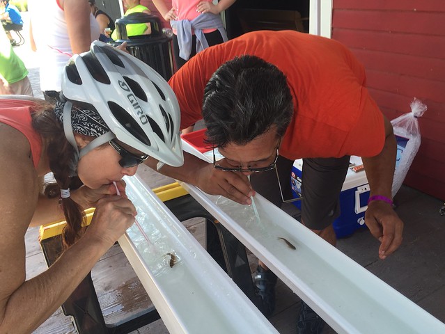 This was a hilarious game