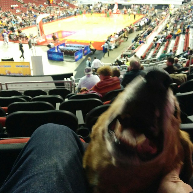 Garth Brooks wanted to watch some basketball...