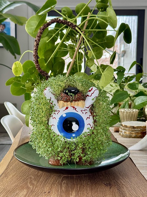 lil mishka dunny chia pet