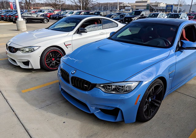 Hanging with Sean Vasey