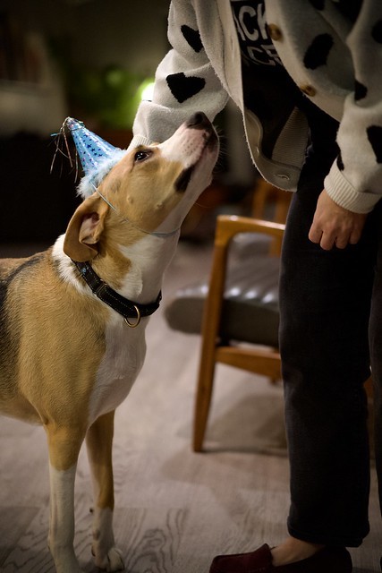 Not sure about this hat