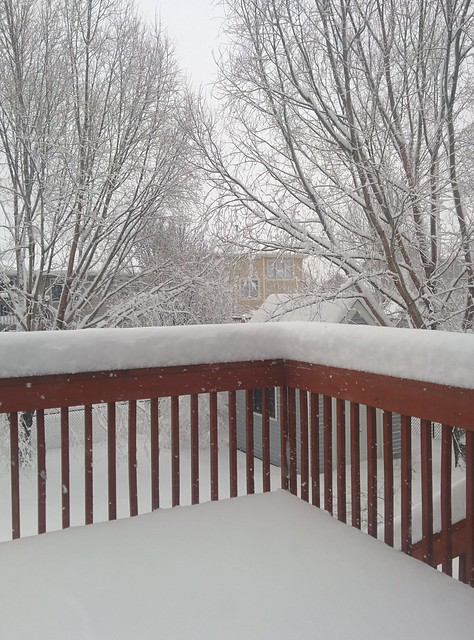 Getting a little bit of snow...