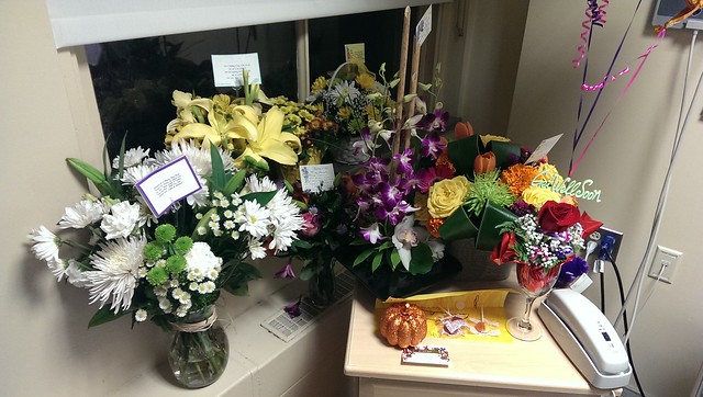 Kari's new flower garden.