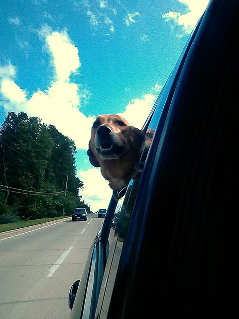 Garth is loving life