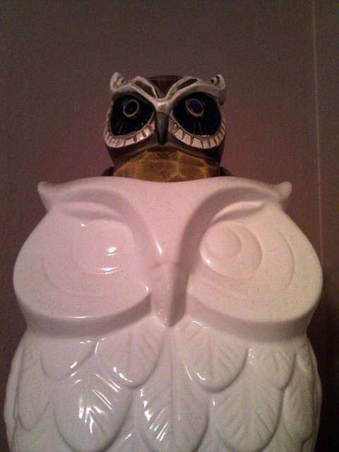Random owls keep showing up in our house. I keep messing with them.