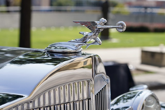 Hood ornament