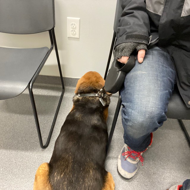 Garth is refusing to look at the vet