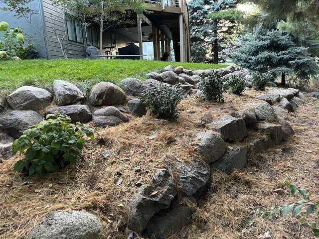 I dunno why it took me so long to plant something here…