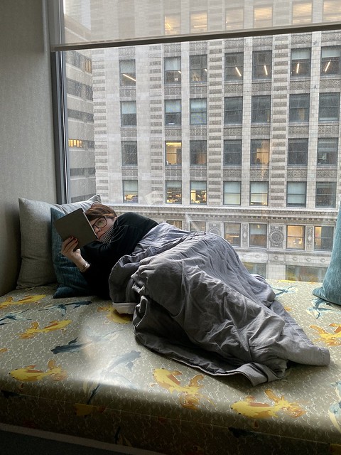 We walk into the hotel room, Kari discovers the window seat, says, “yesssss” and jumps right ...