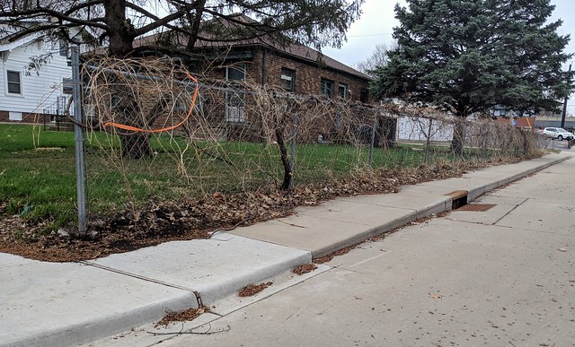 A crazy grapevine fence that I liked in the summer is not quite as nice in the early spring