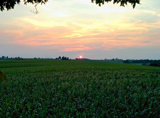 Country sunset