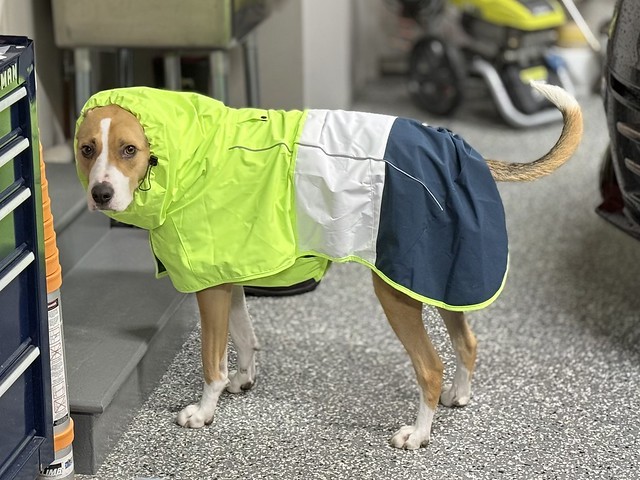 Excited about the rain