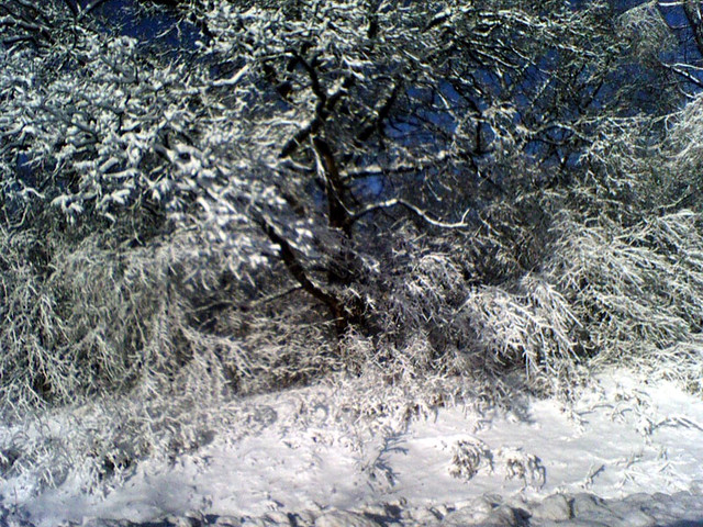 It was pretty this morning.  Too bad I didn't have my real cam... and the day off.